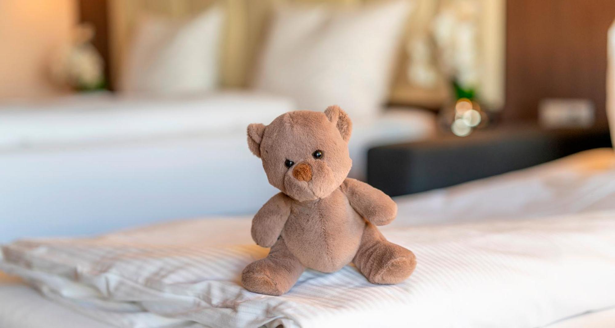 Plaza Hotel Foehr Am Bodensee FDH Rom bilde